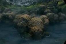 Бьорк стала триумфатором UK Video Music Awards