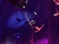 Падение гимнастки во время циркового представления в Белгороде