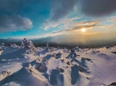 Что происходит в соцсетях звезд во время карантина