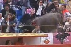 Во время корриды бык влетел на трибуны