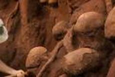 Ученые создали бетонный слепок с гигантского муравейника