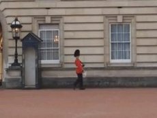Королевский гвардеец грубо нарушил регламент караула у Букингемского дворца