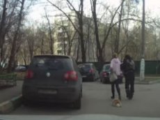 Прогулку женщин с мертвой собакой сняли на видео