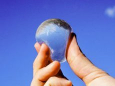 Британские ученые создали съедобные бутылки