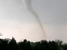 В Петербурге сняли на видео пылевое «торнадо»