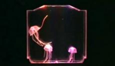 Самый популярный подарок в Японии — аквариум с искусственными медузами