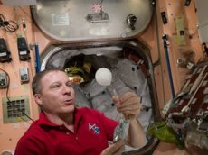 Астронавты с МКС растворили в невесомости шипучую таблетку