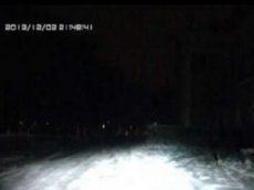 Парень чуть не сошел с ума, увидев в темноте зайца