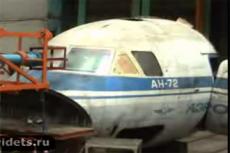 Самолет обстреляли … птицами!