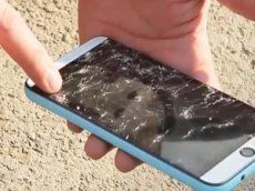 Смартфон выдержал «наступление» слона