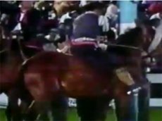 Лошадь задавила лучшего аргентинского наездника