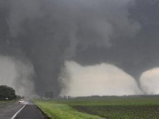 Торнадо в США поднял в воздух коров