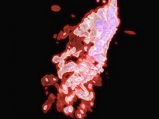 Астрофизики показали, как черная дыра пожирает космическую медузу