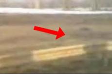 Дальнобойщики засняли бегущих инопланетян