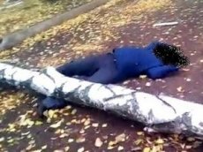 Падающее дерево убило пенсионера в Нижнекамске