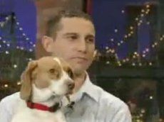 Еще одна собачка стала звездой ТВ