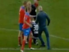 Фанат напал на вратаря сборной Швеции по футболу