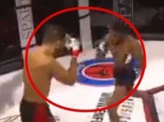 Бойцы ММА одновременно отправили друг друга в нокдаун