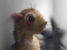 О вреде алкоголя расскажет … белка!