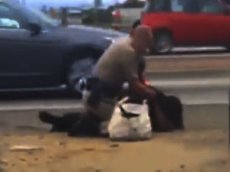 Американский полицейский жестко избил женщину