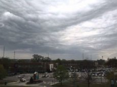 Ученые запечатлели на видео уникальный «город под водой»