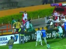 Прерванный пчелами матч закончился дракой и убийством фаната