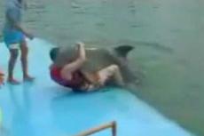 Дельфин едва не изнасиловал пловца