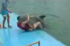 Дельфин едва не изнасиловал пловца