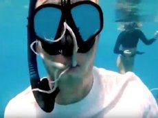 Ныряльщик снял на видео осьминога, попавшего ему в рот