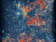 Обнаружена самая далекая и древняя Галактика Вселенной