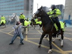 Футбольный фанат получил год тюрьмы за драку с лошадью