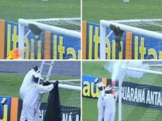 Рой диких пчел обосновался на воротах во время матча