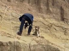 Альпинисты спасли собаку с опасного обрыва