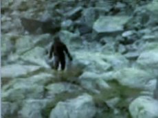 Снежного человека сняли на камеру в горах Польши