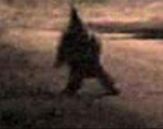 Аргентина. Ужасный крадущийся гном вернулся