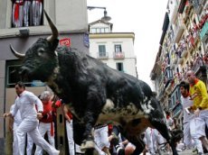 Семь человек пострадали от взбесившегося быка