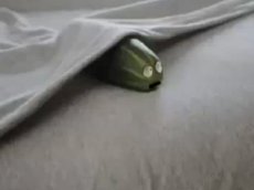 Реклама секс-шопа настоятельно требует оставить в покое овощи