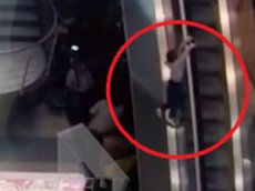 Ребенок упал с эскалатора в аэропорту Домодедово
