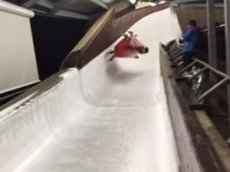 Жесткое падение бобслеиста на трассе