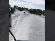 Нападение тупорылой акулы на спортсмена в Австралии