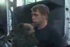 В Мордовии в транзитной фуре обнаружили медвежонка