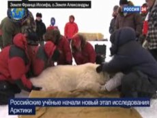 Путин в Арктике пожал лапу медведю