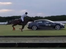 Tesla Model S сразилась в гонке с лошадью