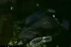 Ураган Айк сбил с ног репортера