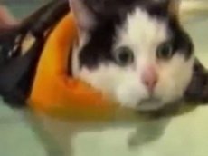 Телеведущая не смогла сдержать эмоций в прямом эфире