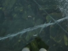 Пугающая красота: прозрачную глубину замерзшего Байкала сняли на видео