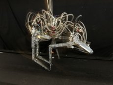 Создан самый быстрый робот