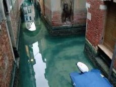 Эпидемия коронавируса оказала положительное влияние на каналы Венеции