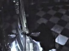 Дрезденская полиция опубликовала видео ограбления сокровищницы