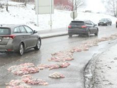 В Норвегии участок трассы засыпало кишками